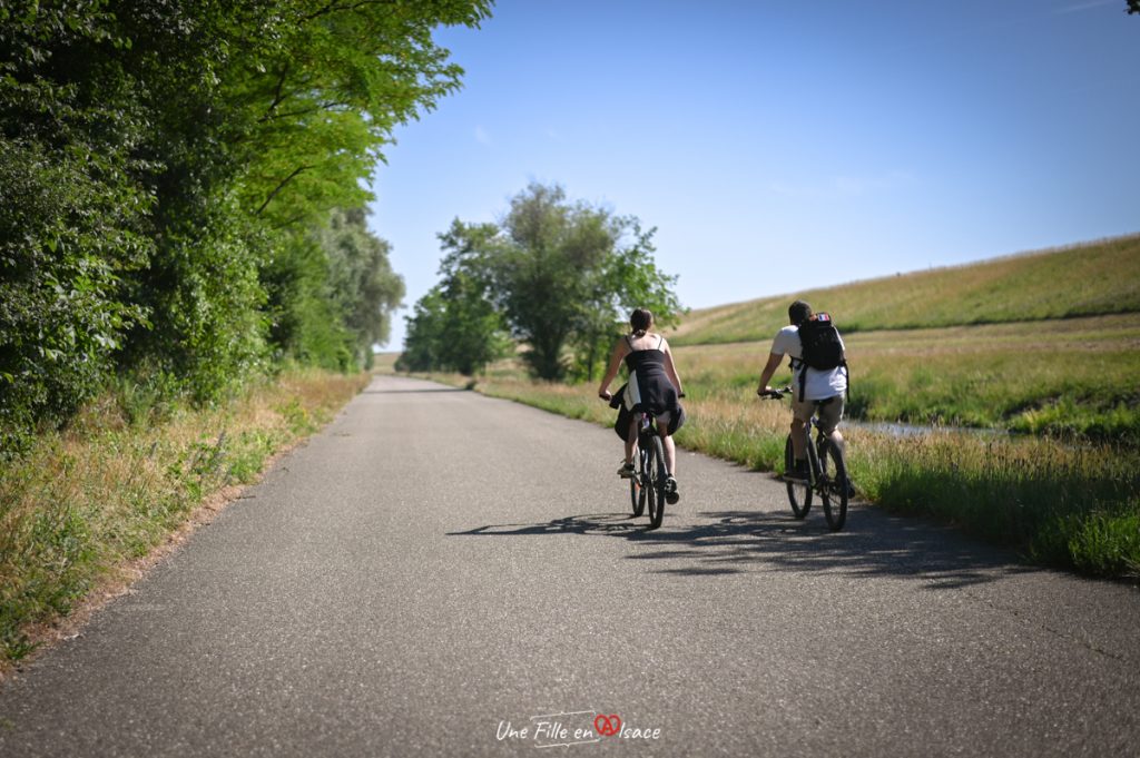 velo-chambre-dhotes-la-part-des-anges-forstfeld-Celine-Schnell-Une-Fille-En-Alsace-2022